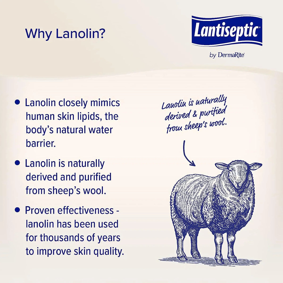 Jar LS0710 1 Ct. Lantiseptic Lanolin Scent Skin Protectant Cream 14 oz