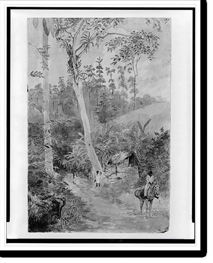 Historic Framed Print, Plantain Walk - Bookkeeper - Watchman and Hut - man with casks of liquid.greattoe in stirrup, 17-7/8" x 21-7/8"