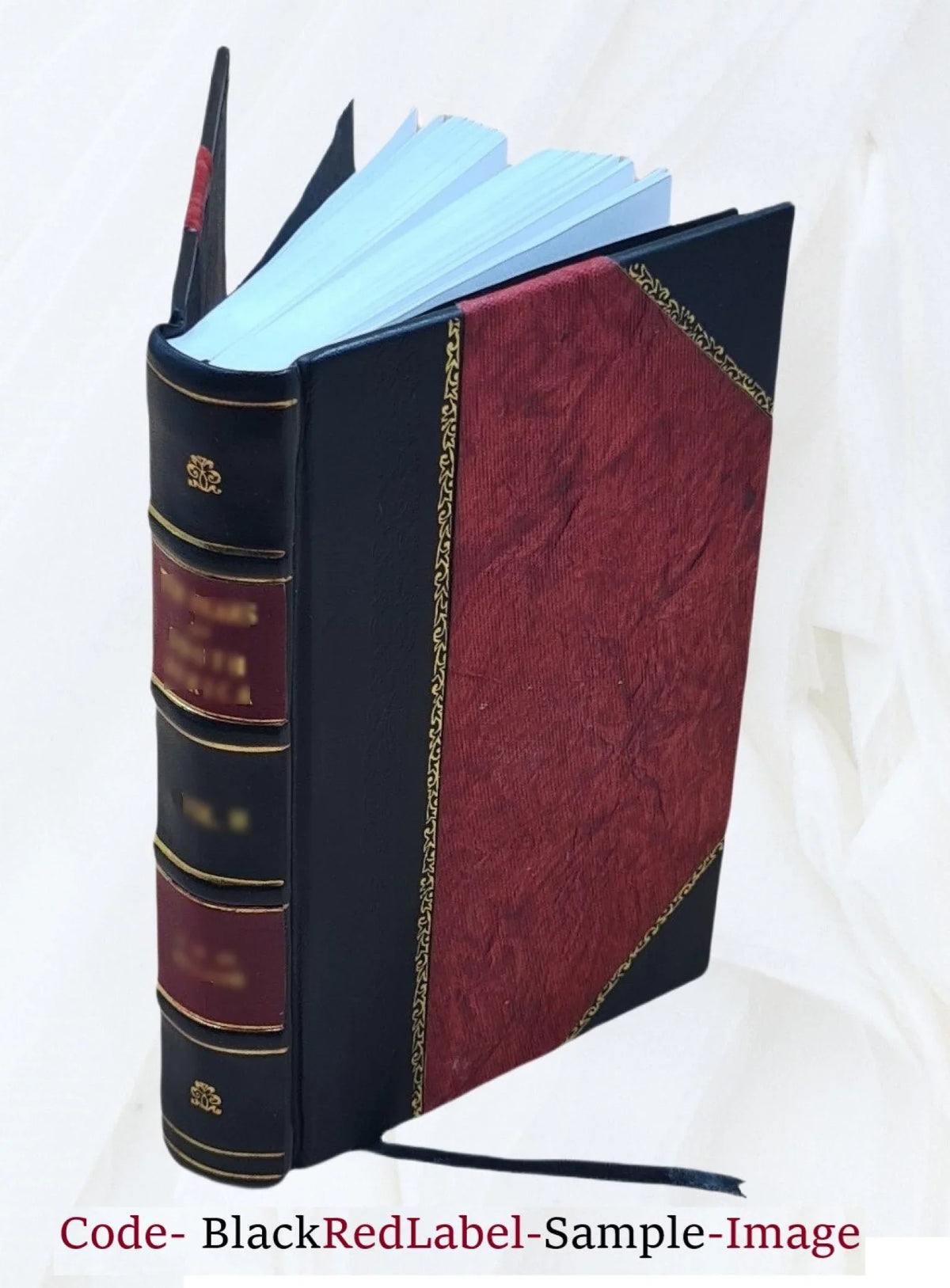 Volume D 1976 [Leather Bound]. Nez Perce National Forest (N.F.), Red River Unit land use plan : environmental impact statement