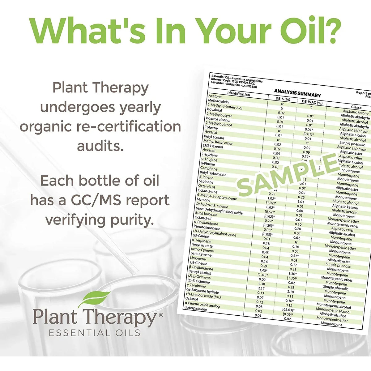 Plant Therapy KidSafe Nighty Night Essential Oil Blend for Sleep 30 mL (1 oz) 100% Pure, Undiluted, Natural Aromatherapy