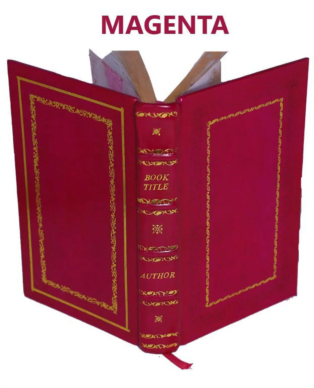 Highlands Of Central India 1871 [Premium Leather Bound]