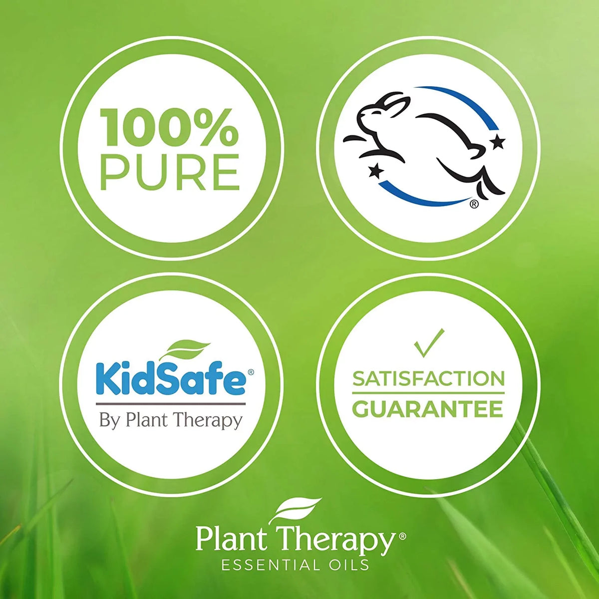 Plant Therapy KidSafe Nighty Night Essential Oil Blend for Sleep 30 mL (1 oz) 100% Pure, Undiluted, Natural Aromatherapy