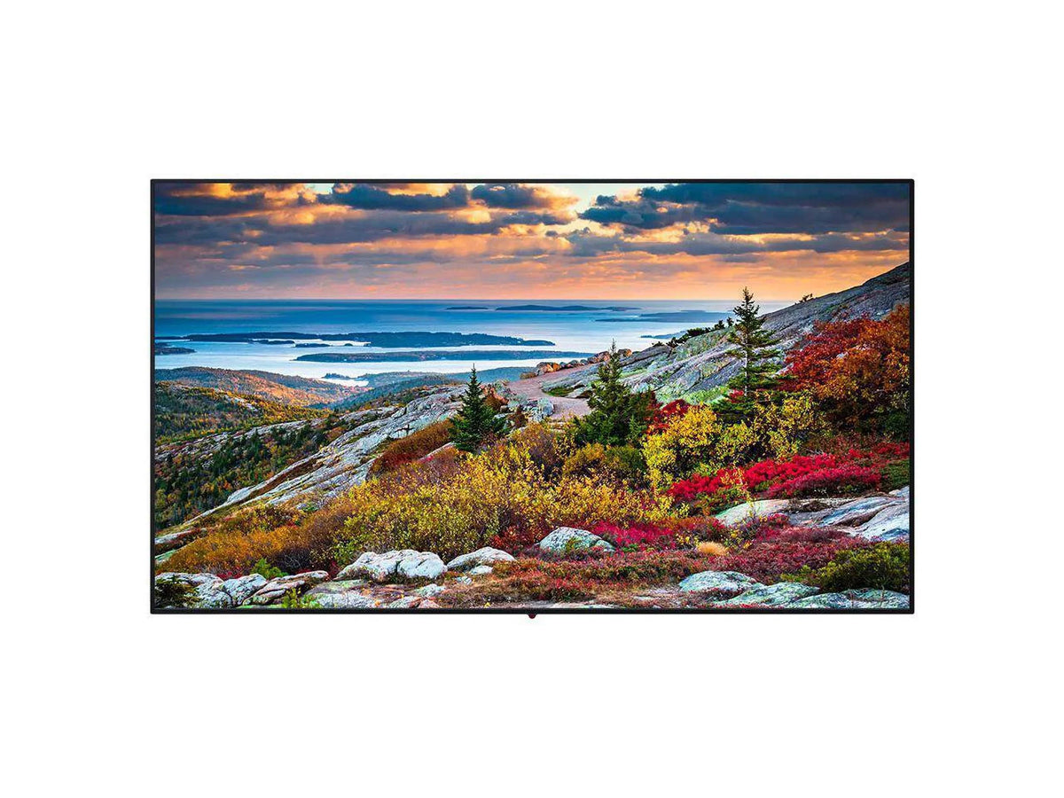 TH-65CQE1WA 65-Inch Widescreen 4K Ultra HD Monitor - 3840 x 2160 - 16:9 - 5000:1 - 8 ms - 400 cd/m2 - Wi-Fi - Ethernet - USB - Black