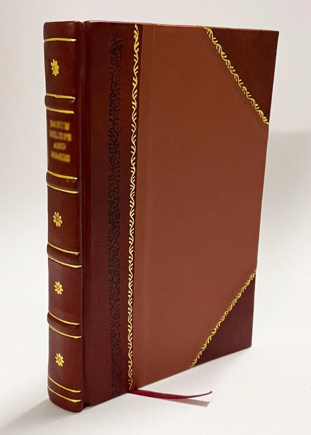 Stories from the Faerie Queene / Macleod, Mary ,Spenser, Edmund,Walker, Arthur George Illus (1905) (1905) [Leather Bound]