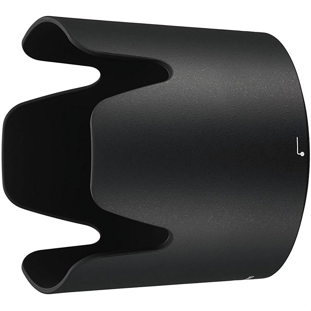 AF-P NIKKOR 70-300mm f/4.5-5.6E ED VR Lens 20068