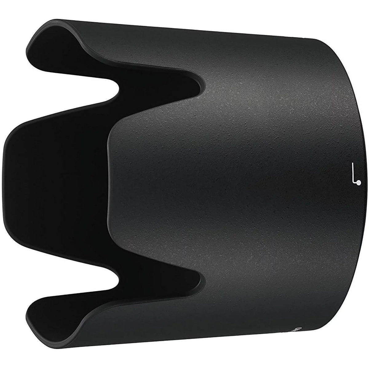 AF-P NIKKOR 70-300mm f/4.5-5.6E ED VR Lens 20068